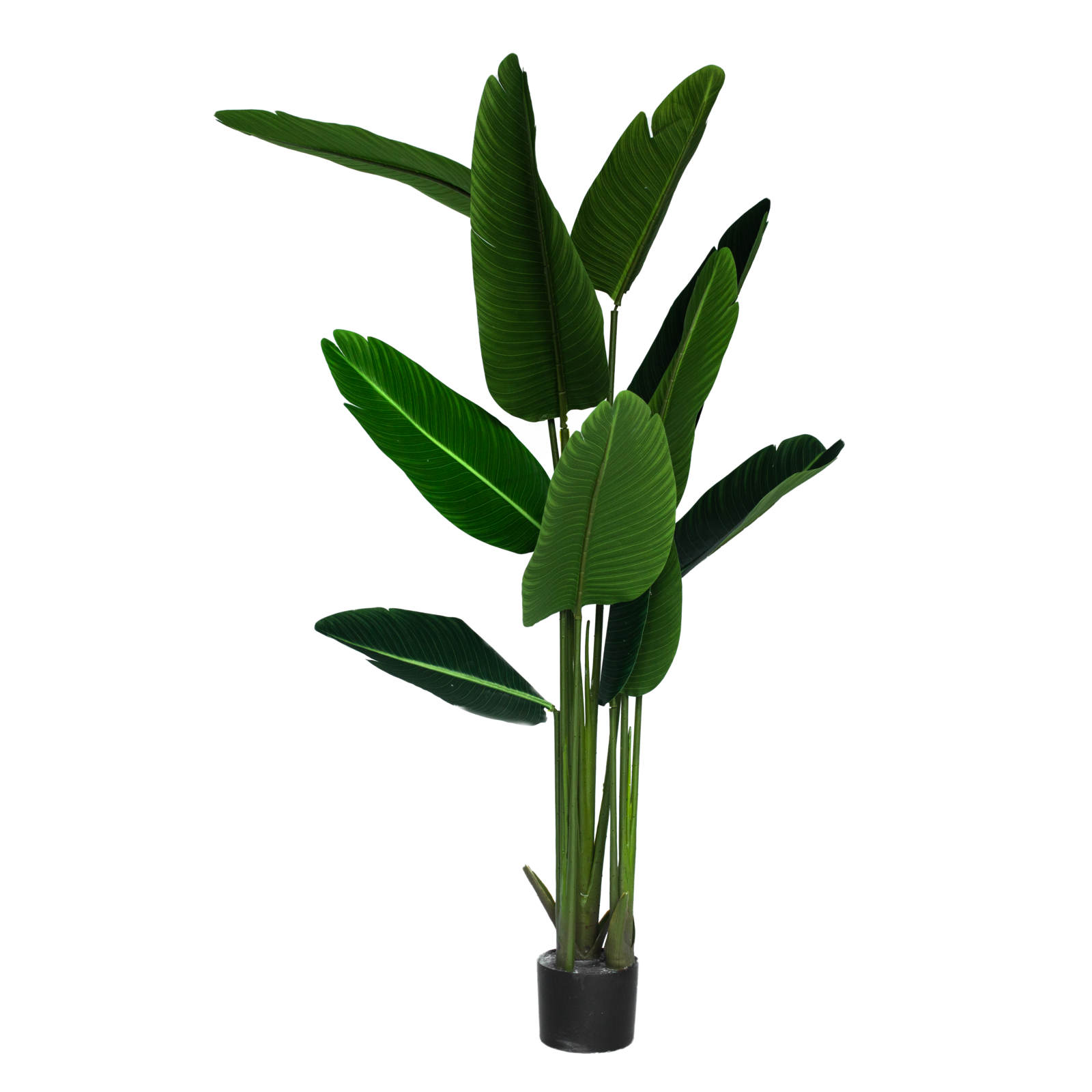 Artificial Travellers Palm Tree - 153cm