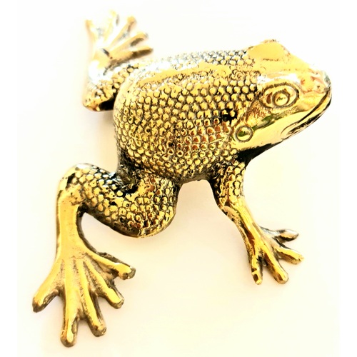 Brass Frog