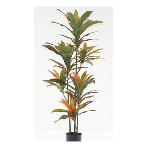 Artificial Cordyline Fruticosa Tree  - 145cm