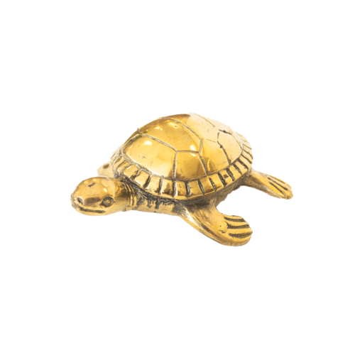 Tooter the Brass Turtle