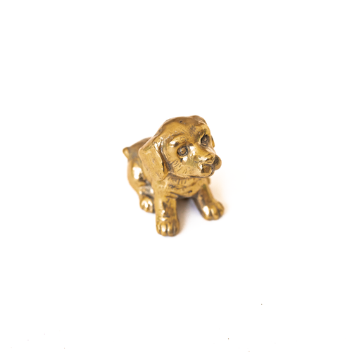 Brass Puppy