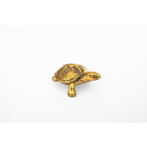 Touché the Brass Turtle 