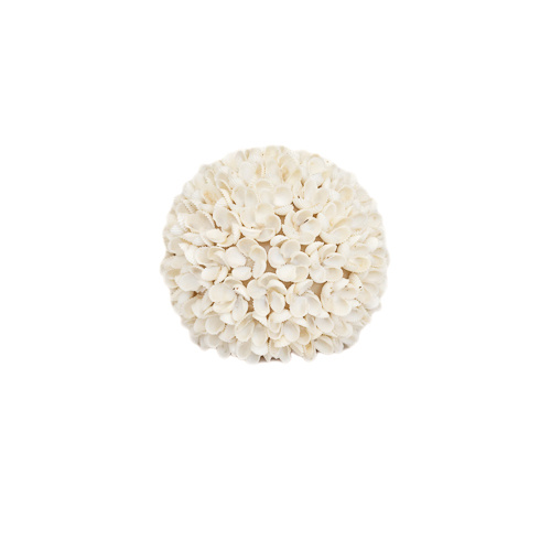 Flower Shell Display Ball Large 