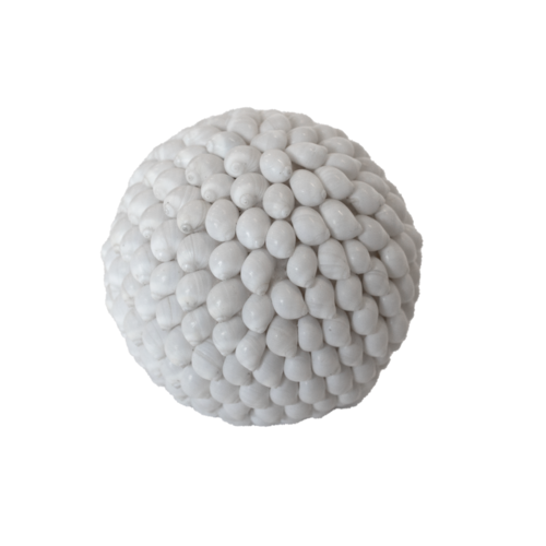 Snail Sea Shell Display Ball Large