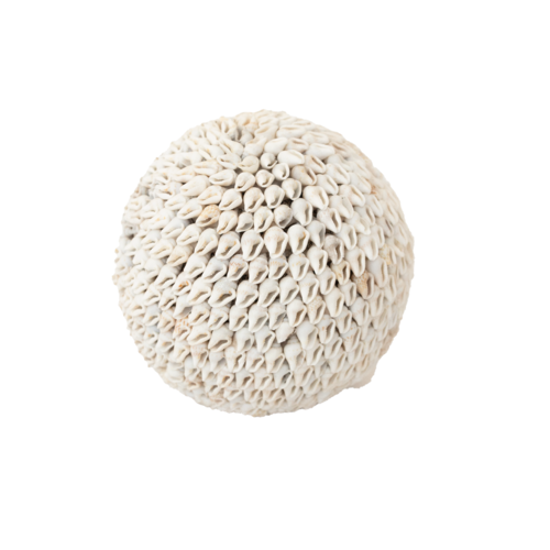 Mini Sea Shell Decorative Display Ball - Large