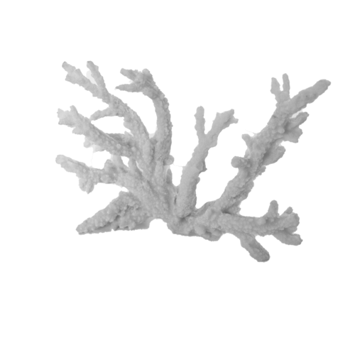 Resin Coral D70-801