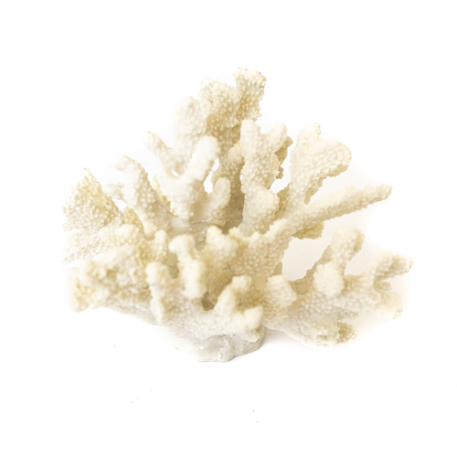 Resin Coral D70-8016