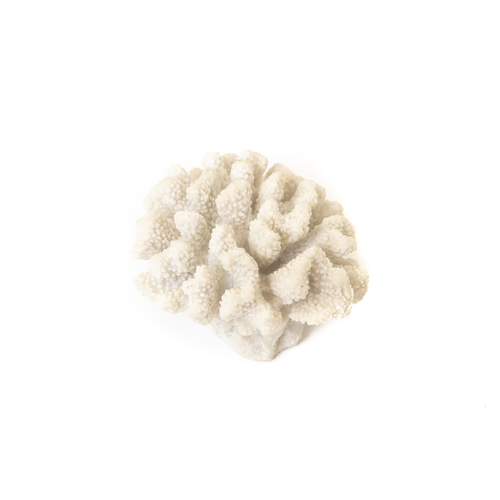 Resin Coral D70-9063