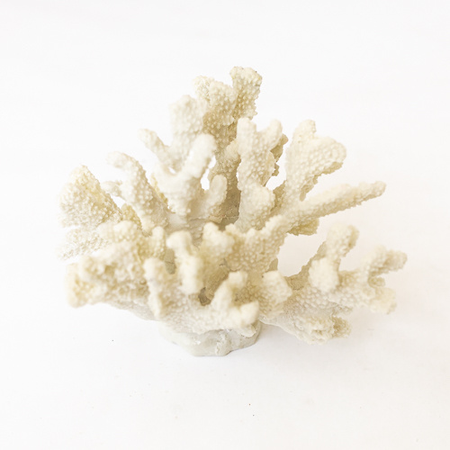 Resin Coral XY-14021812
