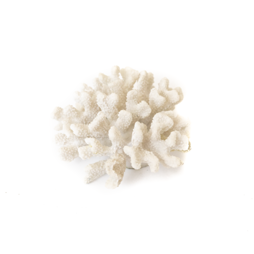 Resin Coral XY-14021705