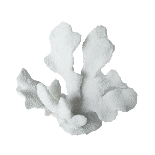 Resin Coral XY-2017008
