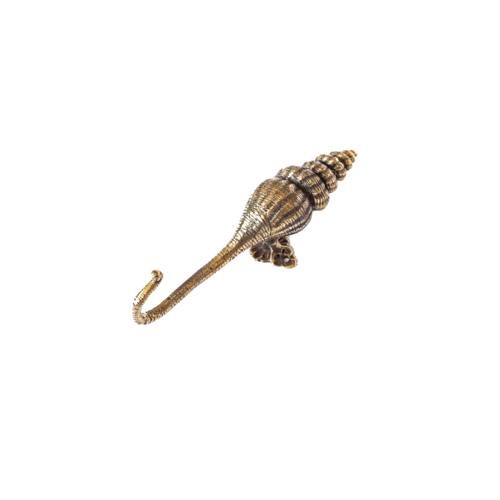 Brass Shell Wall Hook
