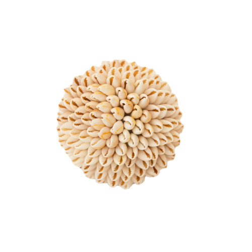 Shell Ball
