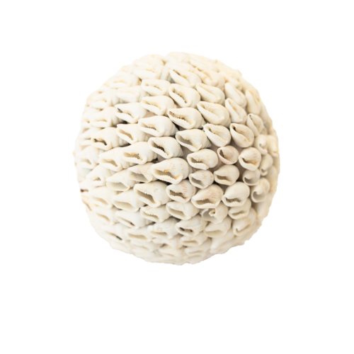 Mini Shell Decorative Ball - Small
