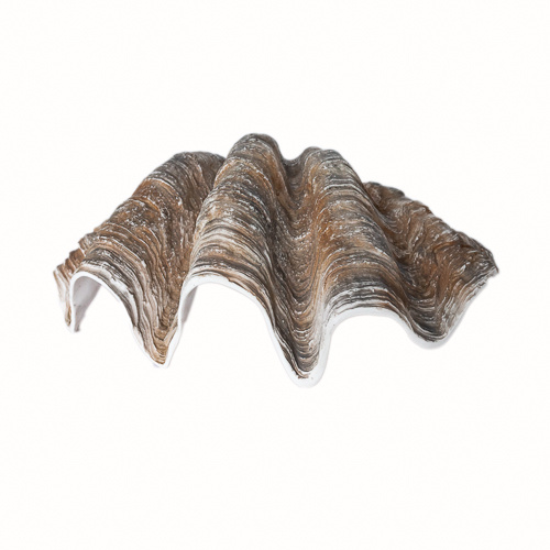 Resin Clam Shell - Extra Large 