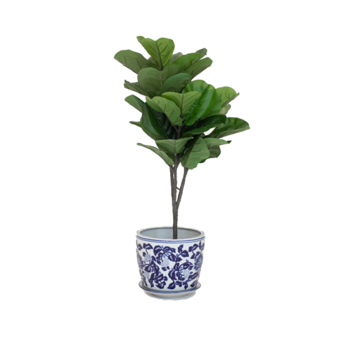 Ume Japanese Flower Pot Planter - Large