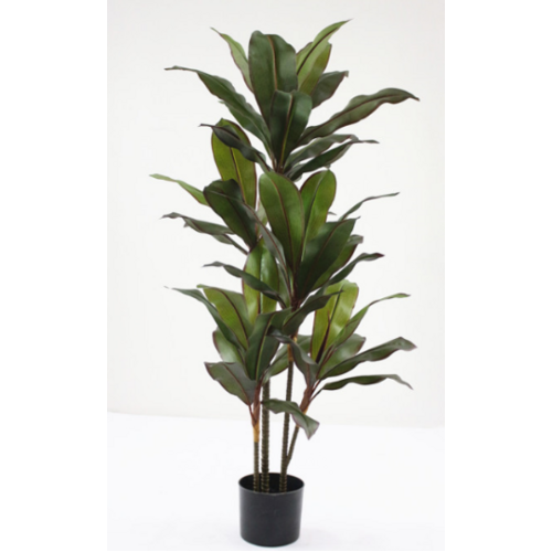 Artificial Dracaena Fragrans Tree - 120cm