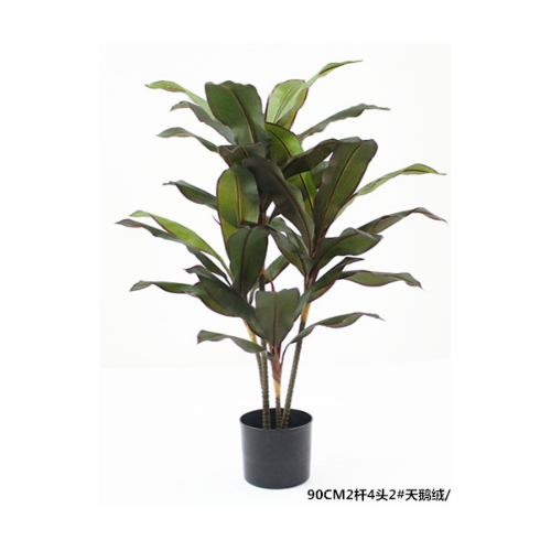 Artificial Dracaena Fragrans Tree - 90cm