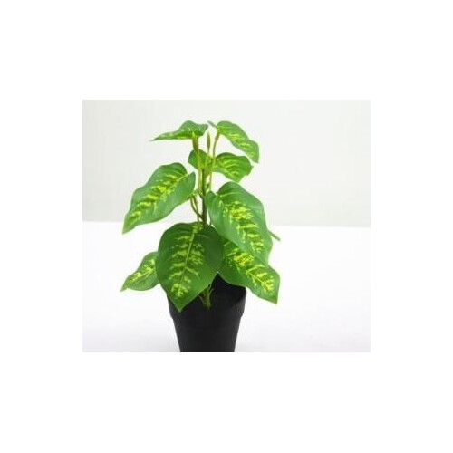 Artificial Dieffenbachia Bush with 12 Leaves - 30cm