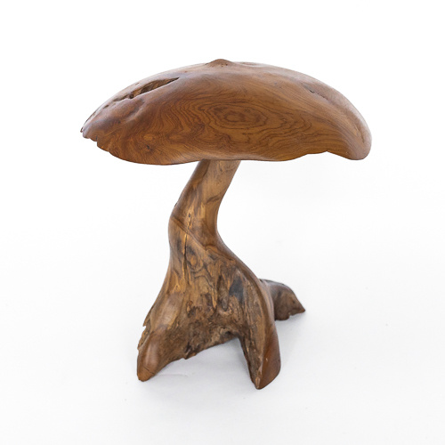 Solid Teak Root Mushroom - Medium