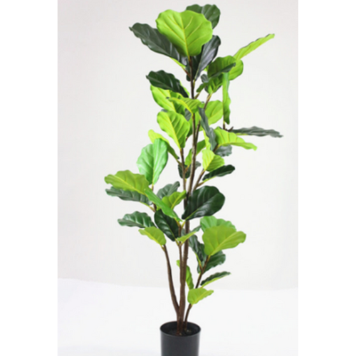Artificial Fiddle Tree Large - 180cm