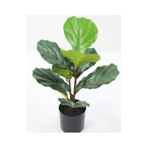 Artificial Ficus Lyrata Fiddle Leaf Tree - 50cm