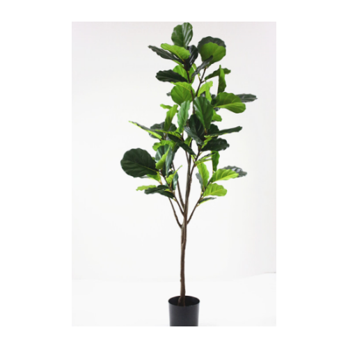 Artificial Ficus Lyrata Fiddle Leaf Tree - 180cm