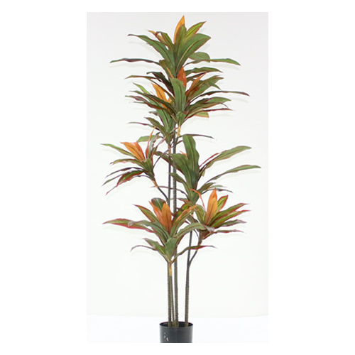 Artificial Cordyline Fruticosa 124 Leaves - 175cm