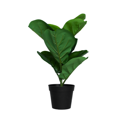 Artificial Ficus Lyrata Fiddle Leaf Tree 9 Leaf Small - 40cm