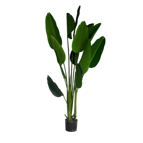 Artificial Travellers Palm Tree - 183cm