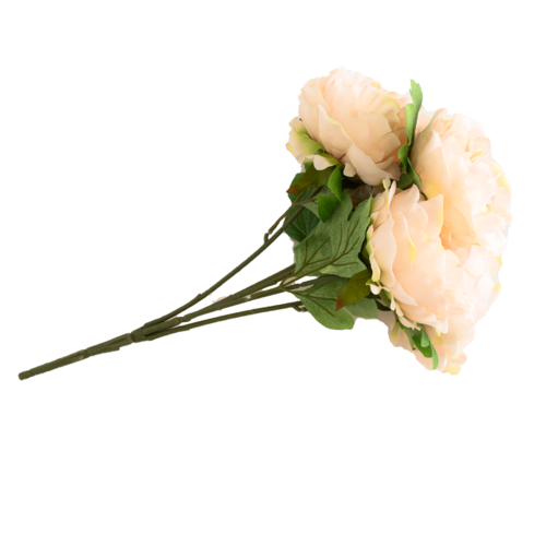 Artificial Isabella Pionies - Apricot