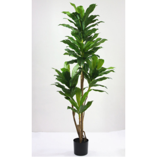 Artificial Dracaena Fragrans Tree - 195cm