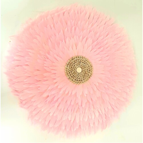 Ju Ju Feather & Shell Wall Art - Pink XL