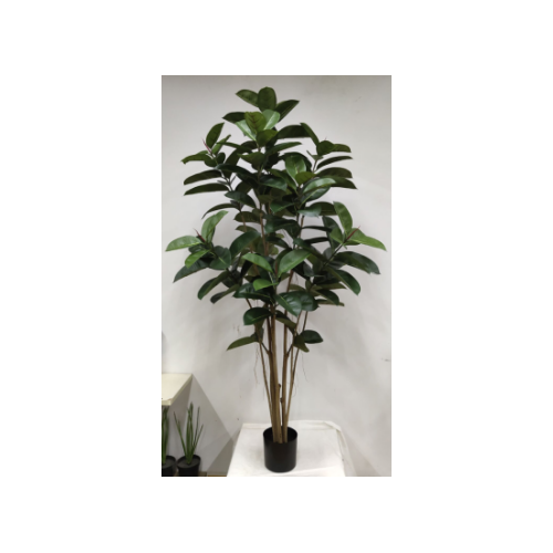Artificial Green Rubber Leaf Tree - 183cm